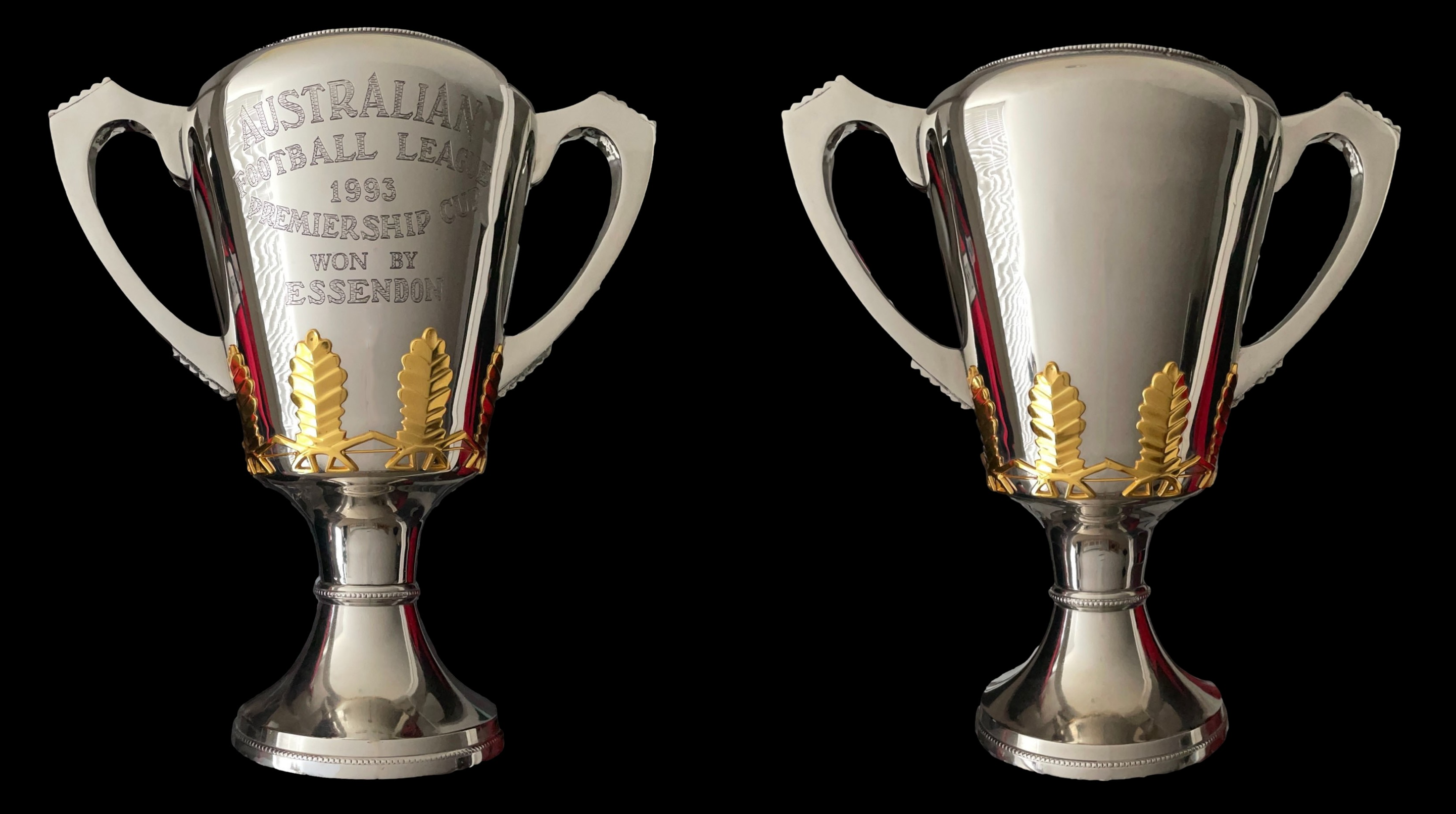 1993 Premiership Cup
